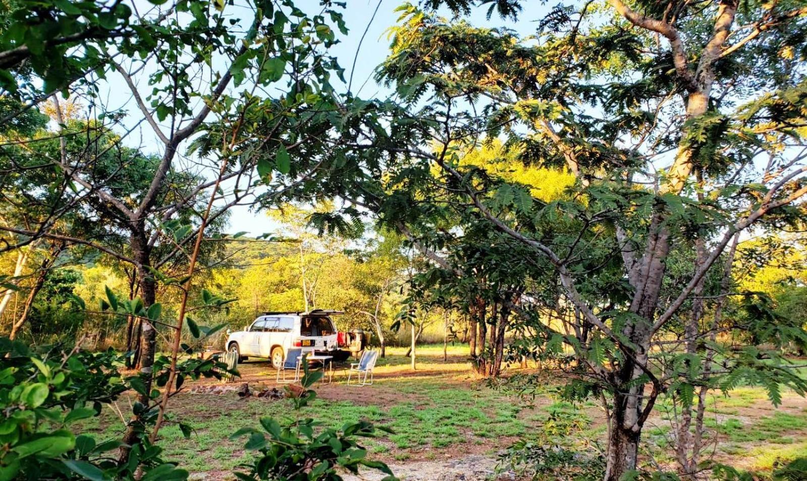 Musangano Lodge Odzi Kültér fotó