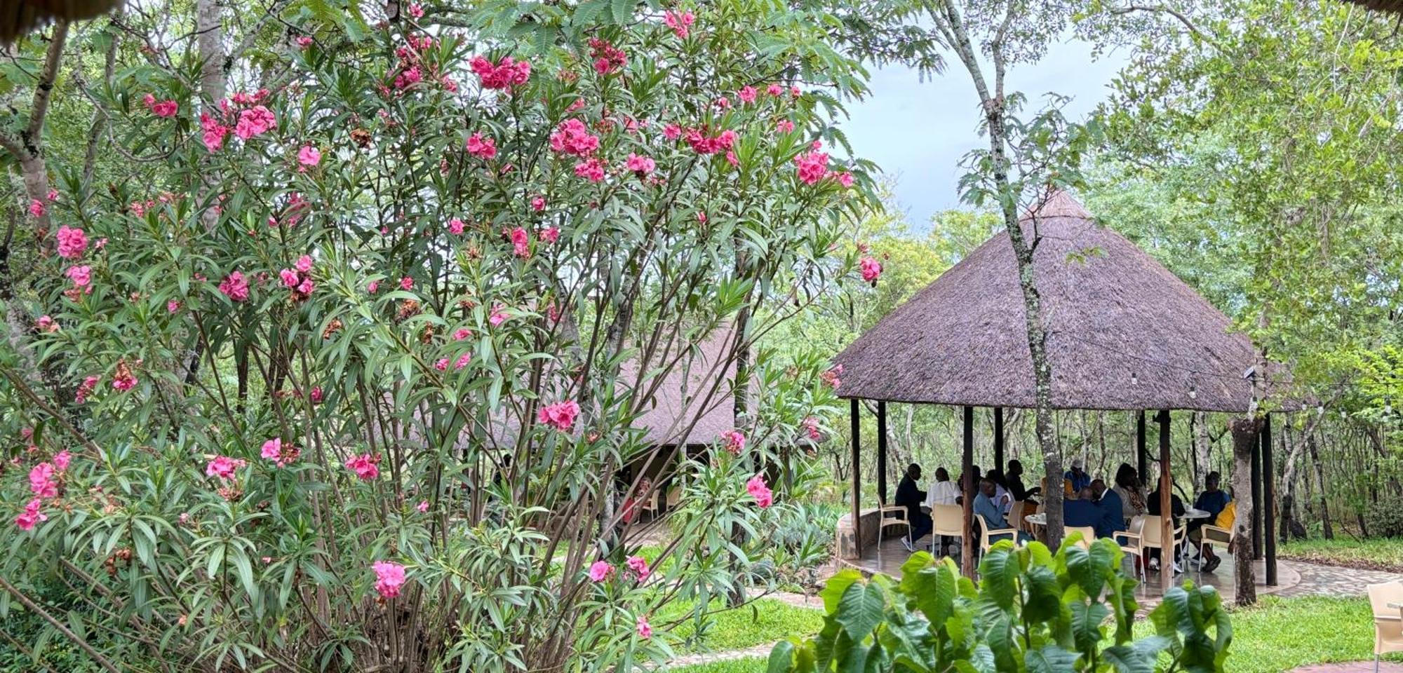 Musangano Lodge Odzi Kültér fotó