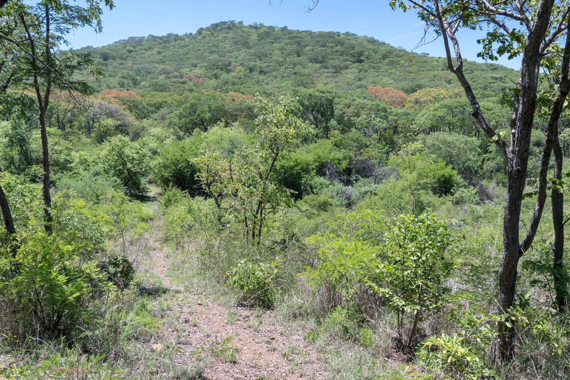 Musangano Lodge Odzi Kültér fotó